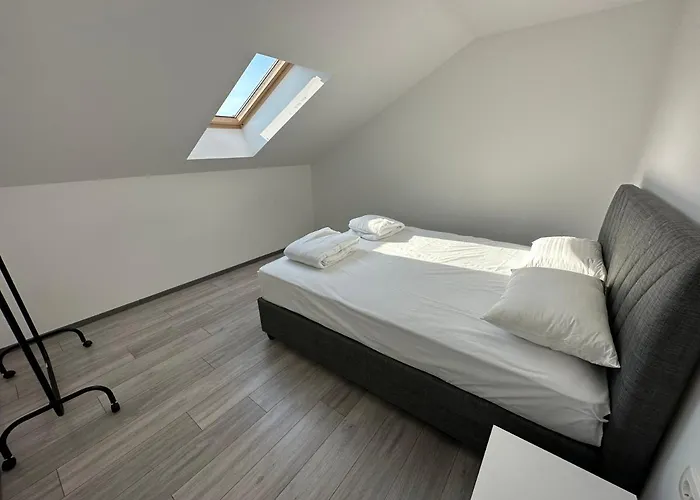 Davud Daire Saraybosna